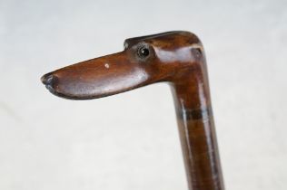 Late 19th / early 20th century wooden walking stick, the handle carved in the form of a Greyhound,