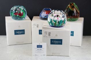 Four boxed Caithness glass paperweights, with certificates, to include Anemone Garden (unique