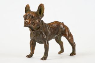 An ornamental bronze figure of a French bulldog, stands approx 6cm in height.