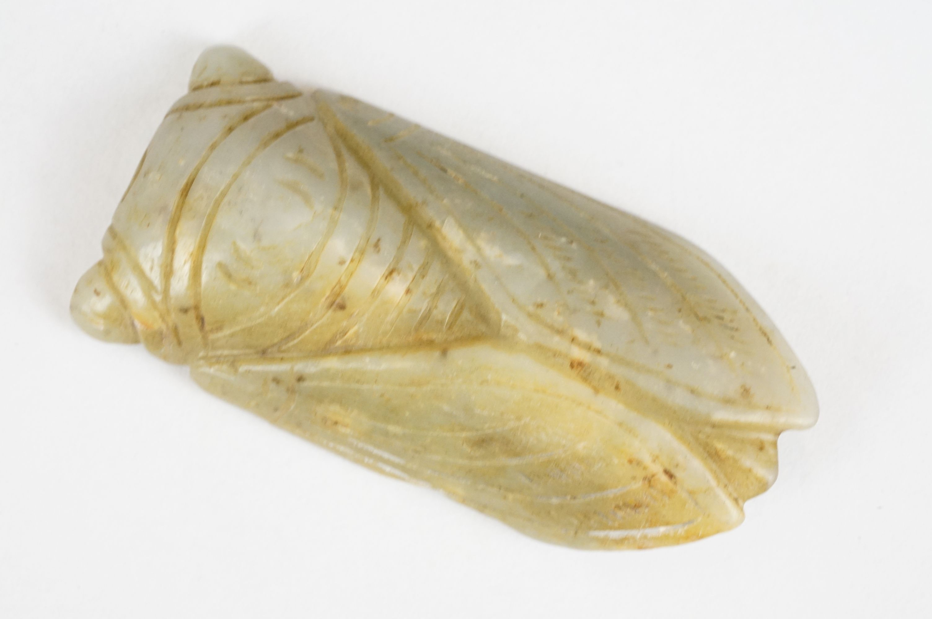 A carved Jade Cicada, possibly Ming dynasty. - Image 3 of 4