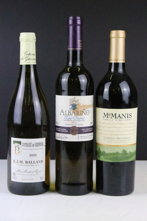 Twelve bottles of wine to include Black Doktor Rosu Dulce, Bourgogne Pinot Noir 2000, Coteaux du - Image 4 of 5