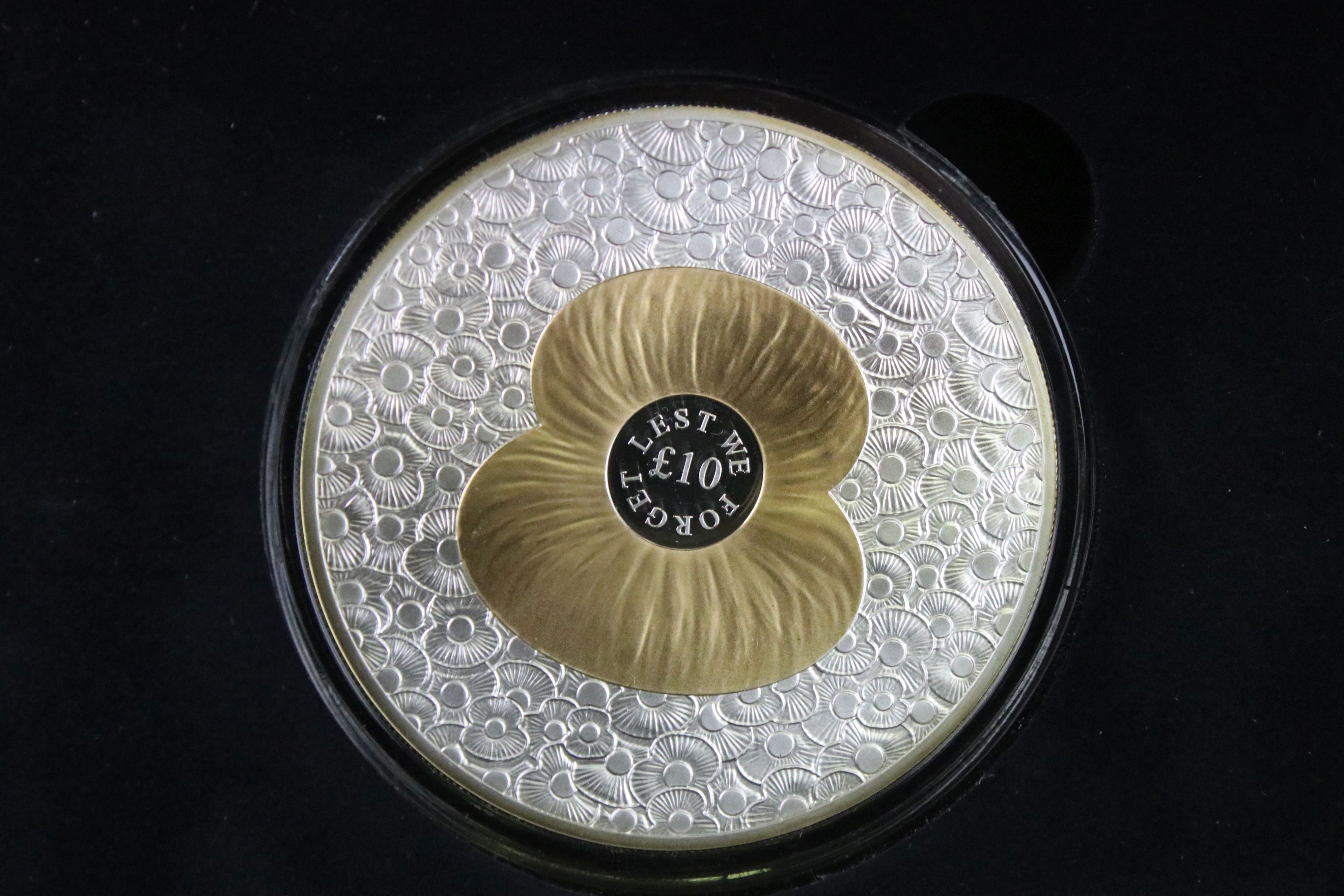 A Queen Elizabeth II 2014 The 100 Poppies silver 5oz coin, encapsulated within fitted display case - Image 3 of 5