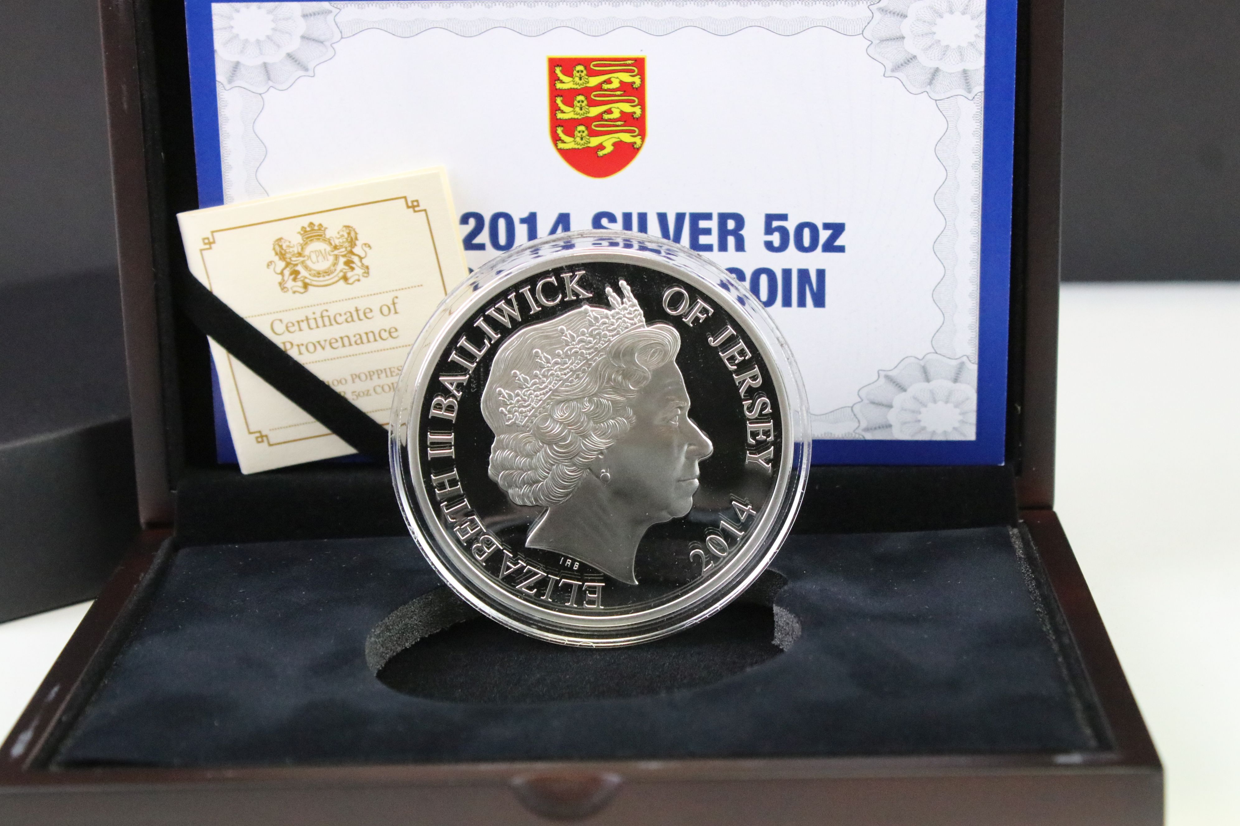 A Queen Elizabeth II 2014 The 100 Poppies silver 5oz coin, encapsulated within fitted display case - Image 5 of 5