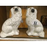 Pair of Staffordshire seated Spaniels
