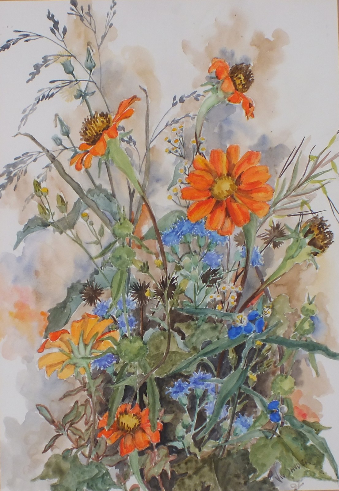 Viv SNYDER, (European school, Mid-late 20th Century), Wild flowers, Watercolour, Signed and dated '