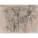 Pat ALGAR (British 1939-2013) Weeds growing against a hen coop, Ink drawing, Signed P.M. Carr &