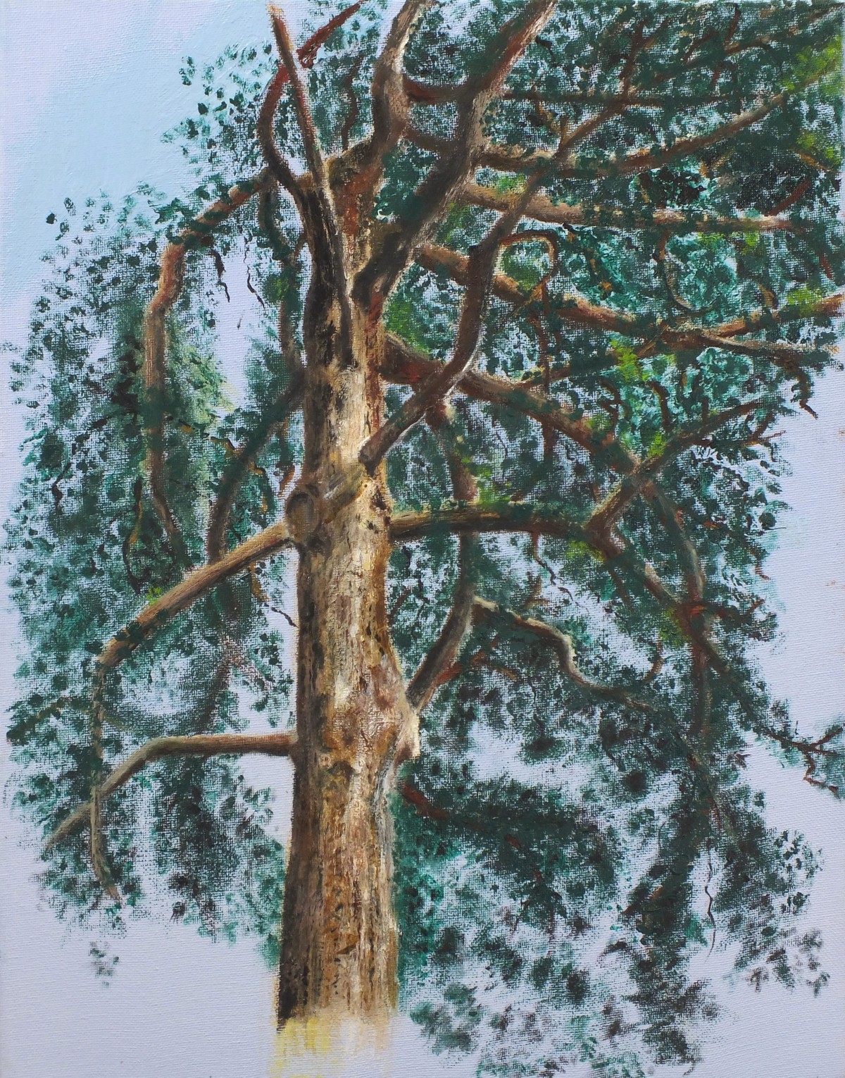 Vaughan ALLEN (British b. 1952) The Windblown Pine, Acrylic on canvas, titled, signed and dated 2018