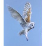 Lucinda COLDREY (British 20th/21st Century) Barn Owl, Lithograph, Signed and numbered 1/250 to