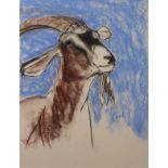Barbara KARN (British b. 1949) Mountain Goat, Pastel on paper, Signed lower left, 21" x 16" (53cm
