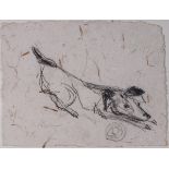 Barbara KARN (British b. 1949) Portrait of a Dog, Charcoal on paper, Signed lower left, 11.5" x 14.