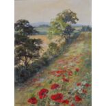 Desmond V.C. JOHNSON (British 1922-2022) A Field of Poppies