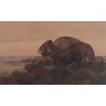 ƚ Edward Julius DETMOLD (British 1883-1957) The Return of the Herd (subjects for Kiplings Jungle