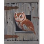 Alan WESTON (British b. 1951) American Short Haired Owl trompe-l'oeil, Oil on canvas, Signed lower