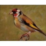 David GAINFORD (British b. 1941) Gold Finch, Oil on canvas, 7.5" x 9.5" (19cm x 24cm)