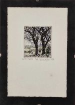 ƚ Sue LEWINGTON (British b. 1956) Winter Trees, Colour etching, inscribed, signed and dated '84, 2.