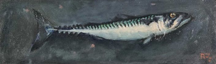 Robert JONES (British b. 1943) Mackerel, Oil on board, Signed with initials lower right, titled