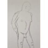 ƚ British 20th / 21st Century, Nude Male Study, Pencil drawing, 19" x 13" (48cm x 33cm)