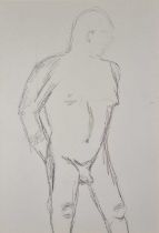 ƚ British 20th / 21st Century, Nude Male Study, Pencil drawing, 19" x 13" (48cm x 33cm)