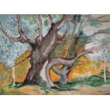ƚ Joan FOCKEN ? (20th Century) Woodland landscape, Watercolour, Indistinctly signed lower right,