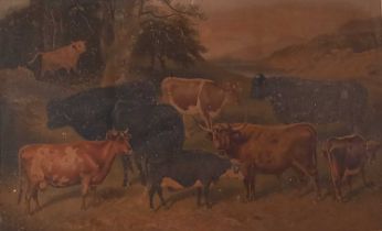 Late 19th Century / early 20th Century, Wild Cattle of Chillingham, Jersey or Alderney, Colour
