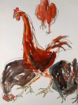 Barbara KARN (British b. 1949) Top Hen, Watercolour, gouache and charcoal on paper, Signed lower