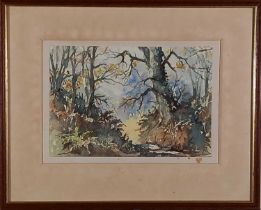 Desmond V.C. JOHNSON (British 1922-2022) A Woodland Scene,