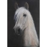 Maggie UNDERWOOD (British b. 1947) Andalusian Horse, Acrylic on canvas, Signed lower right, 16.5"