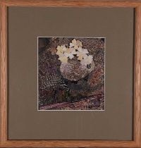 Annabelle GREGORY (British b. 1941) Devon Primroses, Collage, Signed lower right, titled and