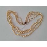 A triple string of pearls with 9ct clasp