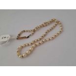 Antique string of cultured pearls graduated to a gold box clasp