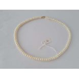 A GOOD QUALITY PEARL NECKLACE WITH 14CT GOLD CLASP
