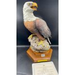 An Aynsley sculpture of a Bald Eagle on plinth No.174 of 750, 15" excluding plinth