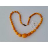 A string of butterscotch amber beads, 16 g.