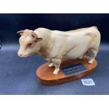 A Beswick model of a Charolais Bull, 8" long