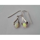 A pair of opal drop 14ct white gold earrings 2g inc