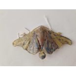 Large Art Nouveau horn moth brooch, signed ‘Gyp’ size 100 x 53 mm