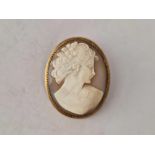 A gold mounted shell cameo brooch