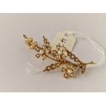 Antique Edwardian gold 15ct stamped spray brooch set with ½ pearls