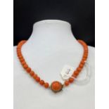 A antique coral bead necklace with a period large coral and gold clasp 15 inch