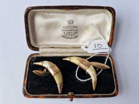 A pair of high carat gold mounted fox tooth cufflinks boxed