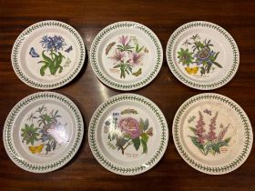 Six Portmeirion Dinner Plates 10 Inches Diameter Some Damaged