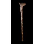 A Hefty Irish Yew-wood Staff boldly carved with a beast's head handle atop the thick rustic shaft,