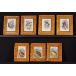 A Group of Seven Ornithological Engravings set in moulded birds-eye maple frame with gilt slips:
