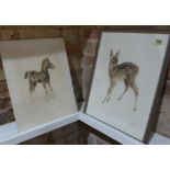 Two Drypoint prints by Kurt Meyer-Eberhardt (German 1895-1977) A foal and a young deer - one framed,