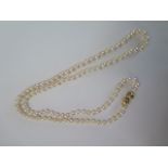 A string of Mikimoto pearls - Length 80cm - pearls approx 6mm - marked M to clasp - good condition