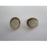 A pair of opal stud earrings set in 9ct gold - weight approx 2.3 grams - 11mm x 10mm - good