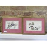 Two Chinese watercolours on silk of birds in gilt frames - frame size 24cm x 29cm - some staining,