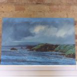 John Rohda - Oil on board, unframed - Devon coast - 50cm x 76cm