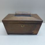 A rosewood sarcophagus tea caddy - Width 23cm