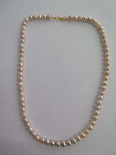 A string of cultured pearls - Length 44cm